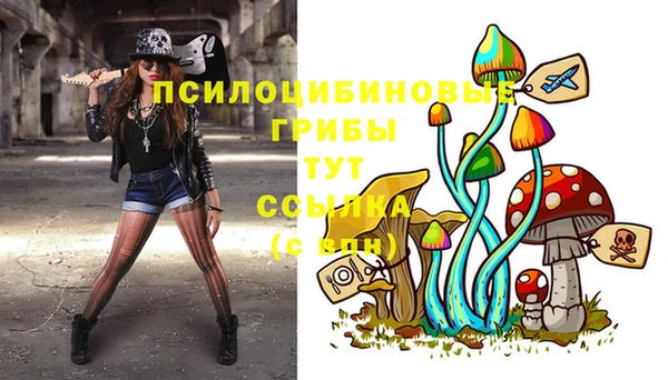 скорость Ладушкин