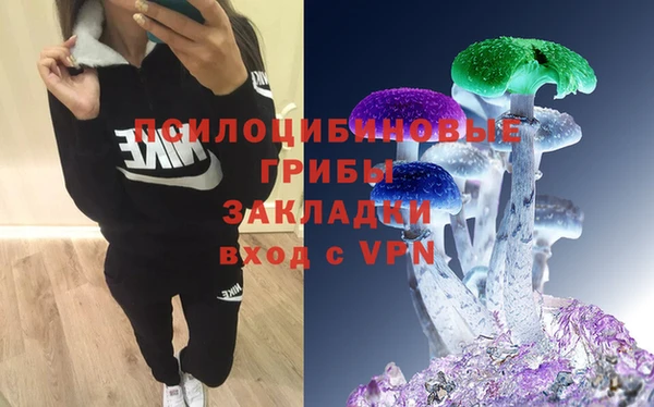 скорость Ладушкин