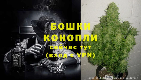 не бодяженный Лабытнанги