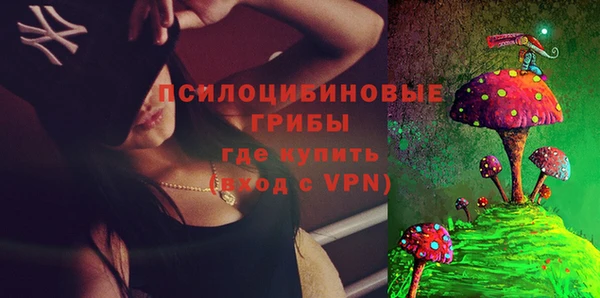 не бодяженный Лабытнанги
