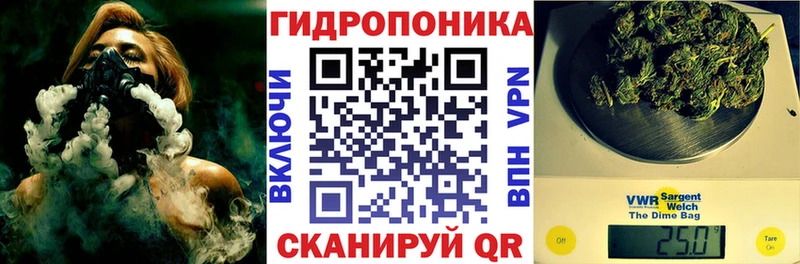 Купить где  Нытва  Бошки Шишки гибрид 